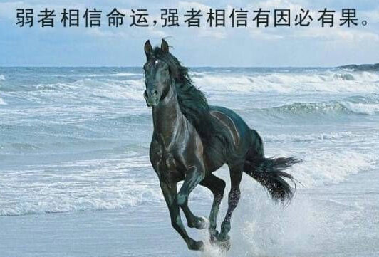 传奇sf发布网